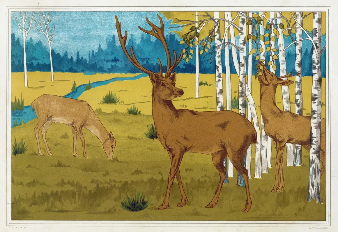Cerfs by Maurice Pillard Verneuil - Canvas Print