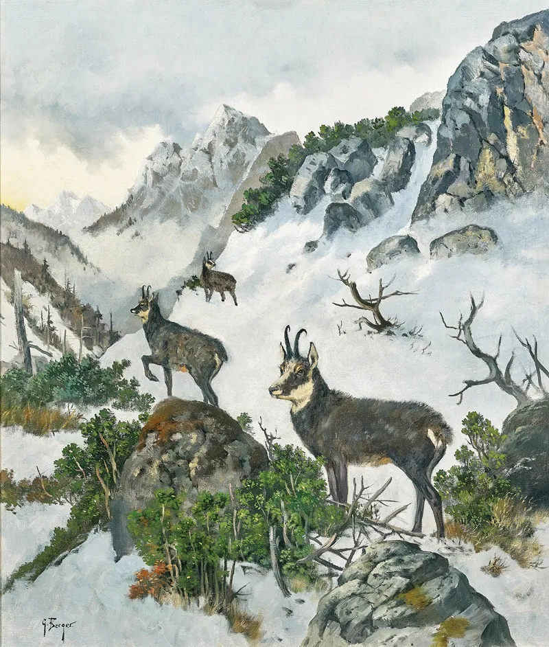 Chamois High In The Mountains 2