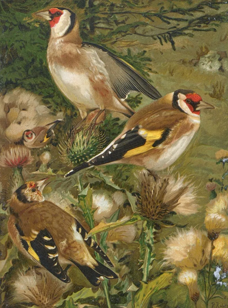 Chardonneret by Léo-Paul Robert - Canvas Print