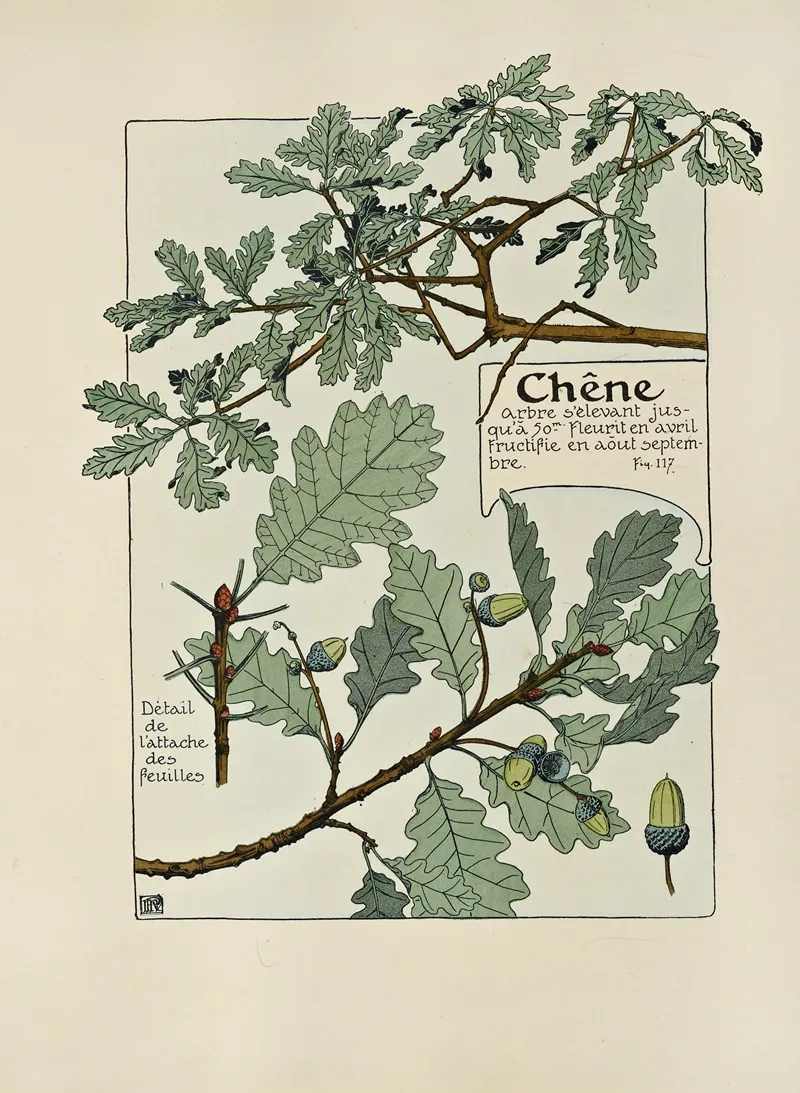 Chene by Maurice Pillard Verneuil - Canvas Print