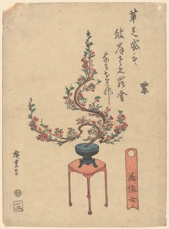 Cherry Flowers In Blue Pot On Stand