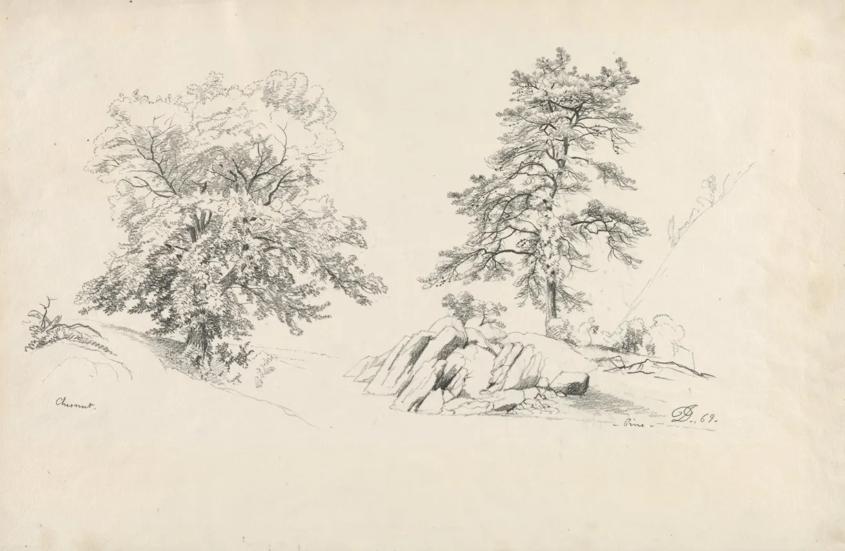 Chestnut And Pine by David Johnson - Canvas Print