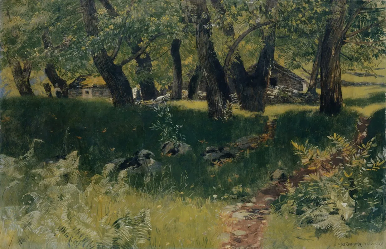 Chestnut Forest Near Bignasco