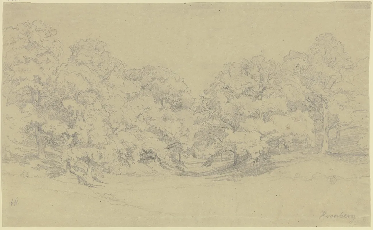 Chestnut Forest Near Kronberg