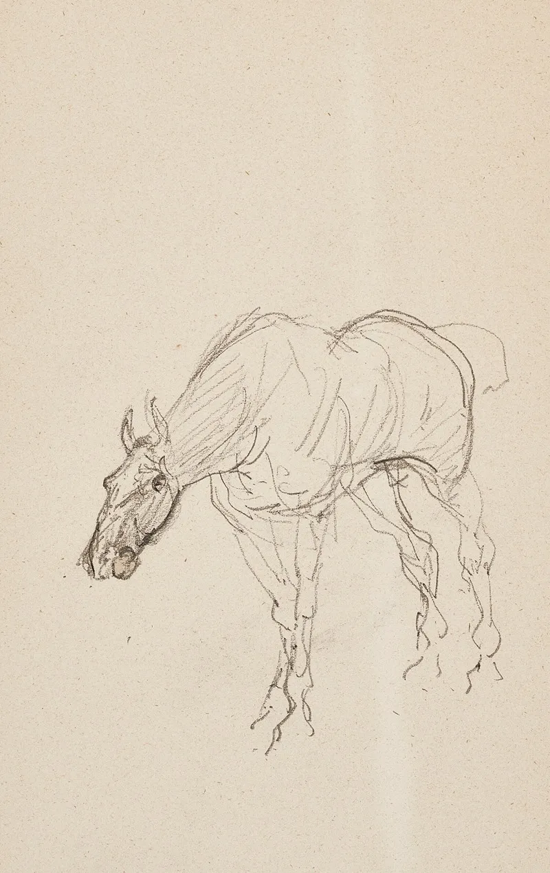 Cheval 4