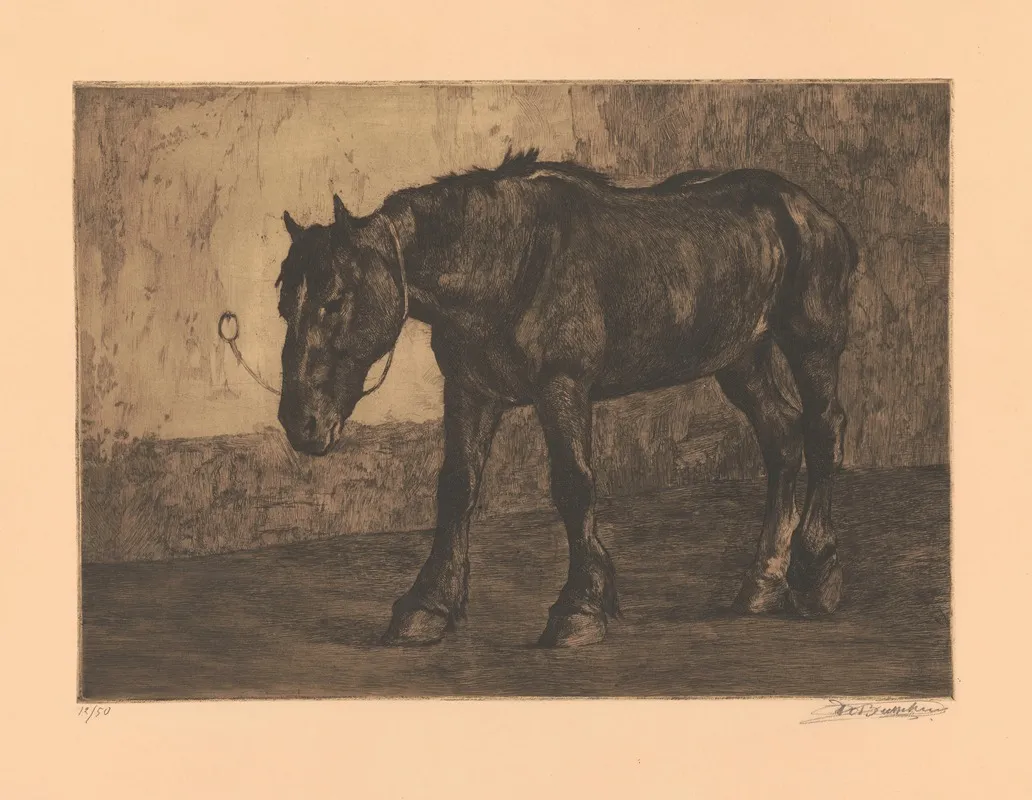 Cheval A Lequarrissage by Constant Eugène de Busschere - Canvas Print