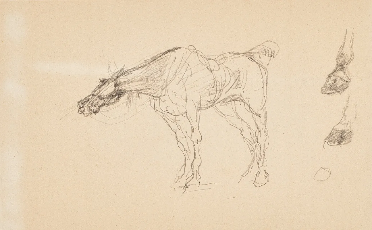 Cheval Et Sabots