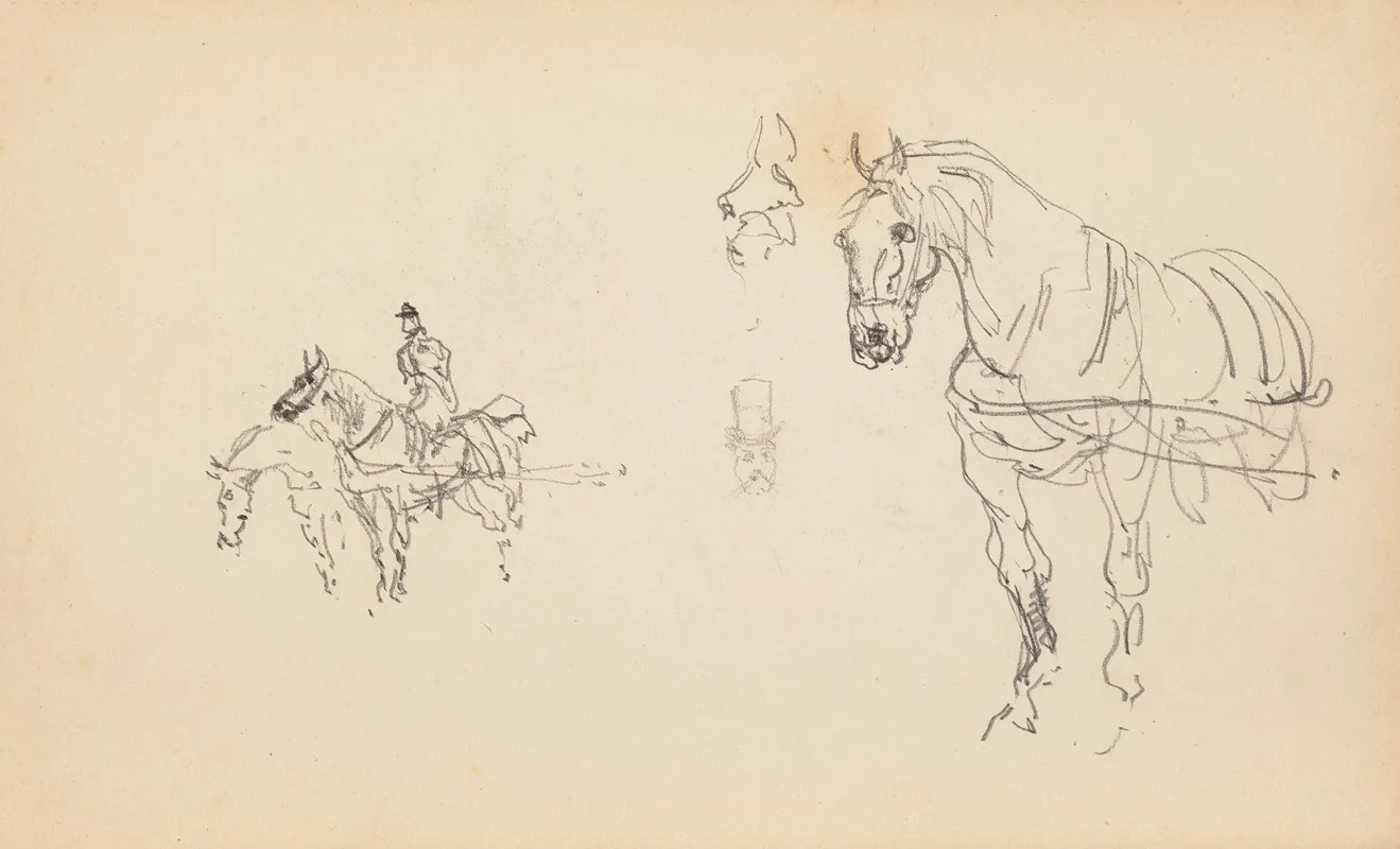 Chevaux