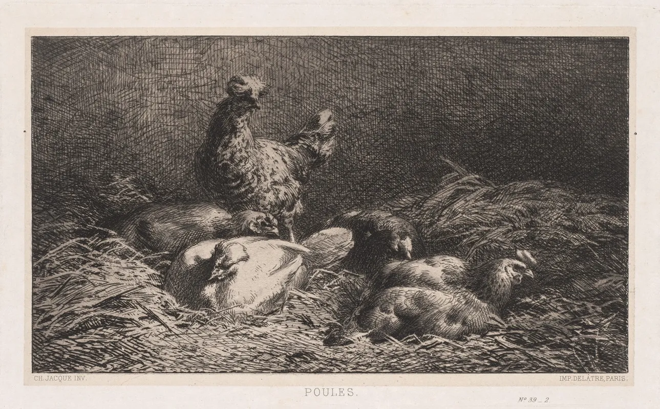 Chickens 3