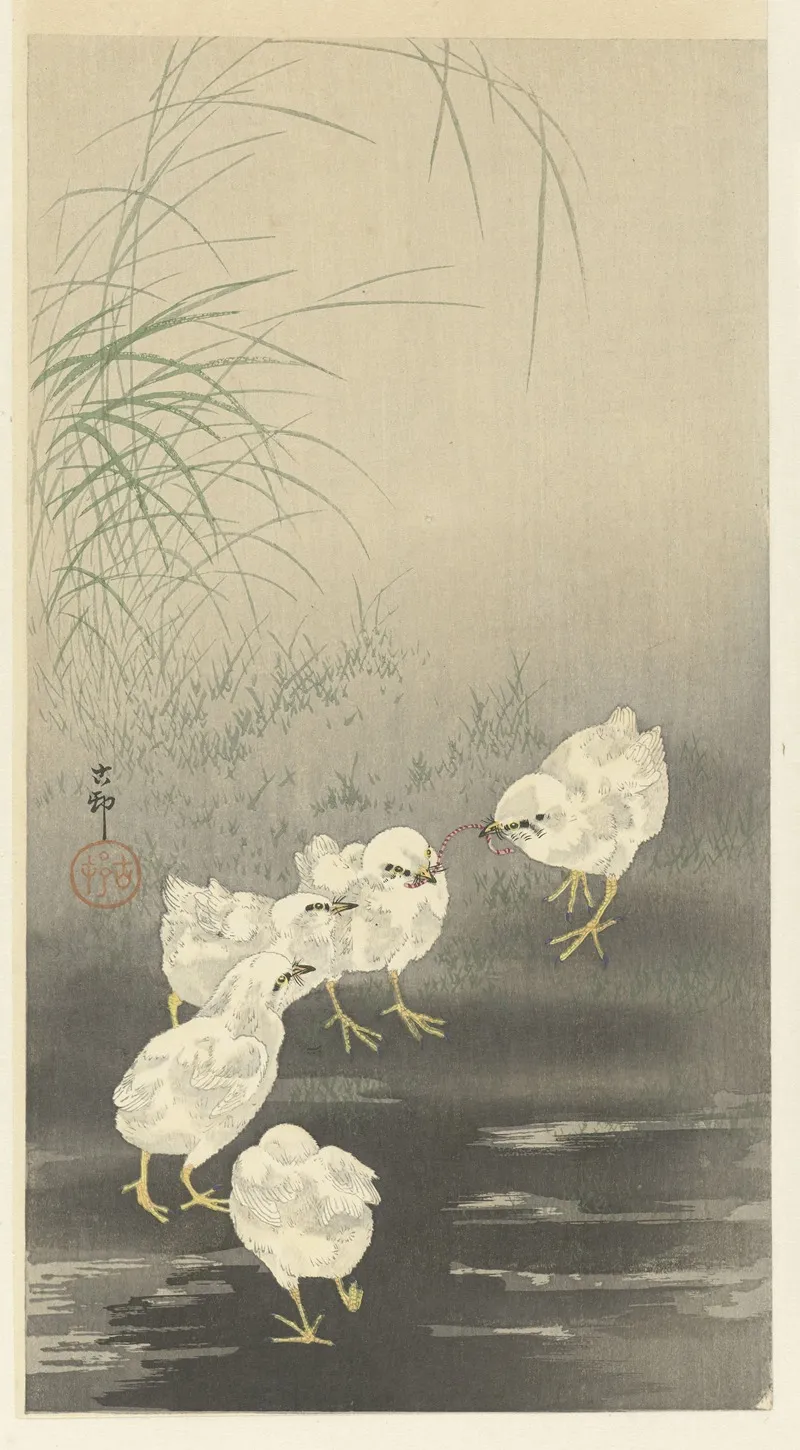 Chicks And Worm by Ohara Koson - Canvas Print