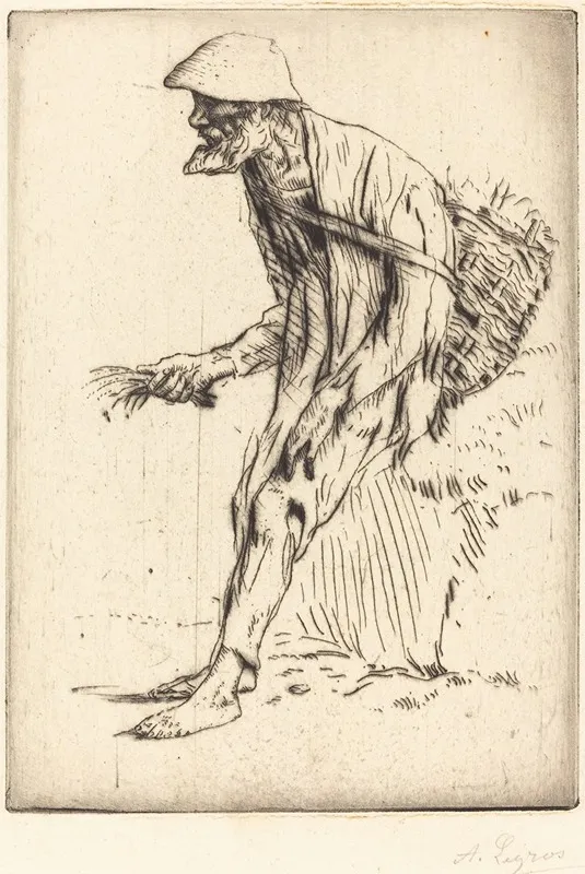 Chickweed Merchant Marchand De Mouron