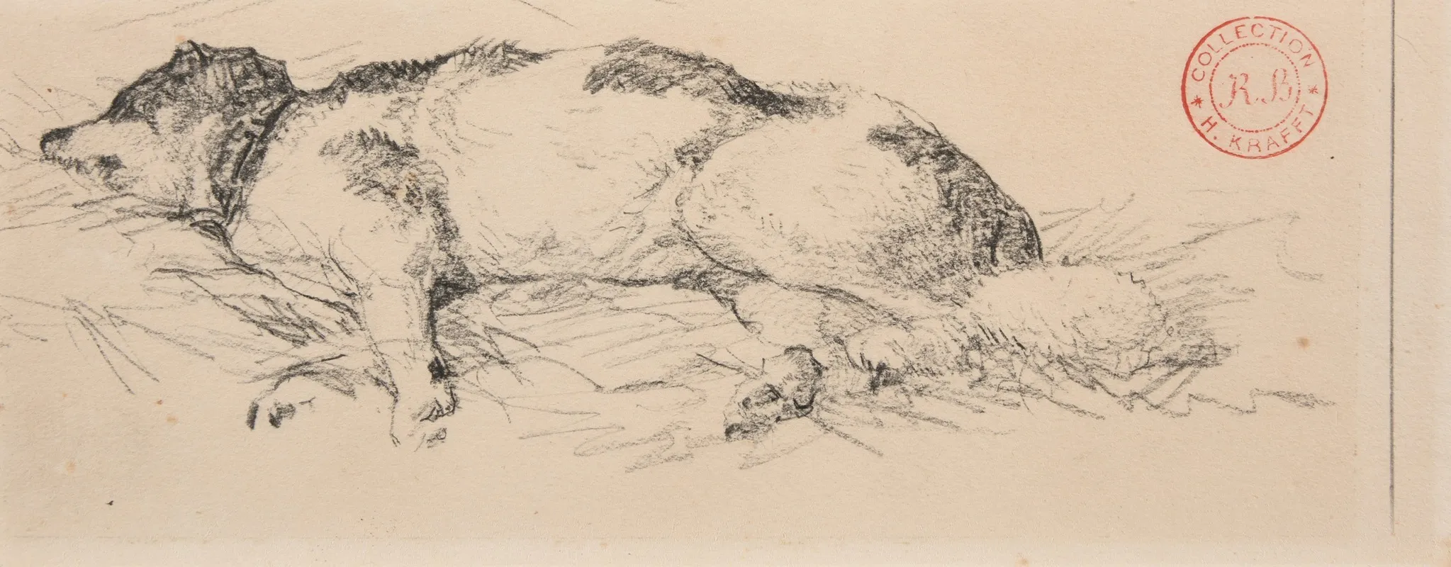 Chien Couche