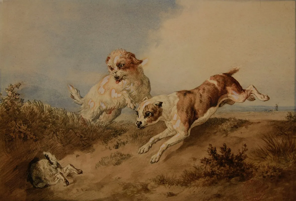 Chiens A La Poursuite Dun Lapin