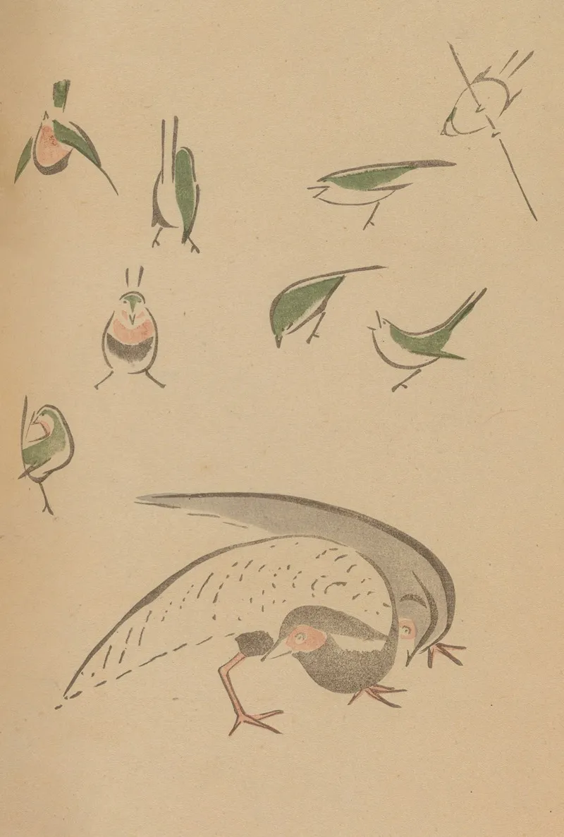 Choju Ryakugashiki Pl 15