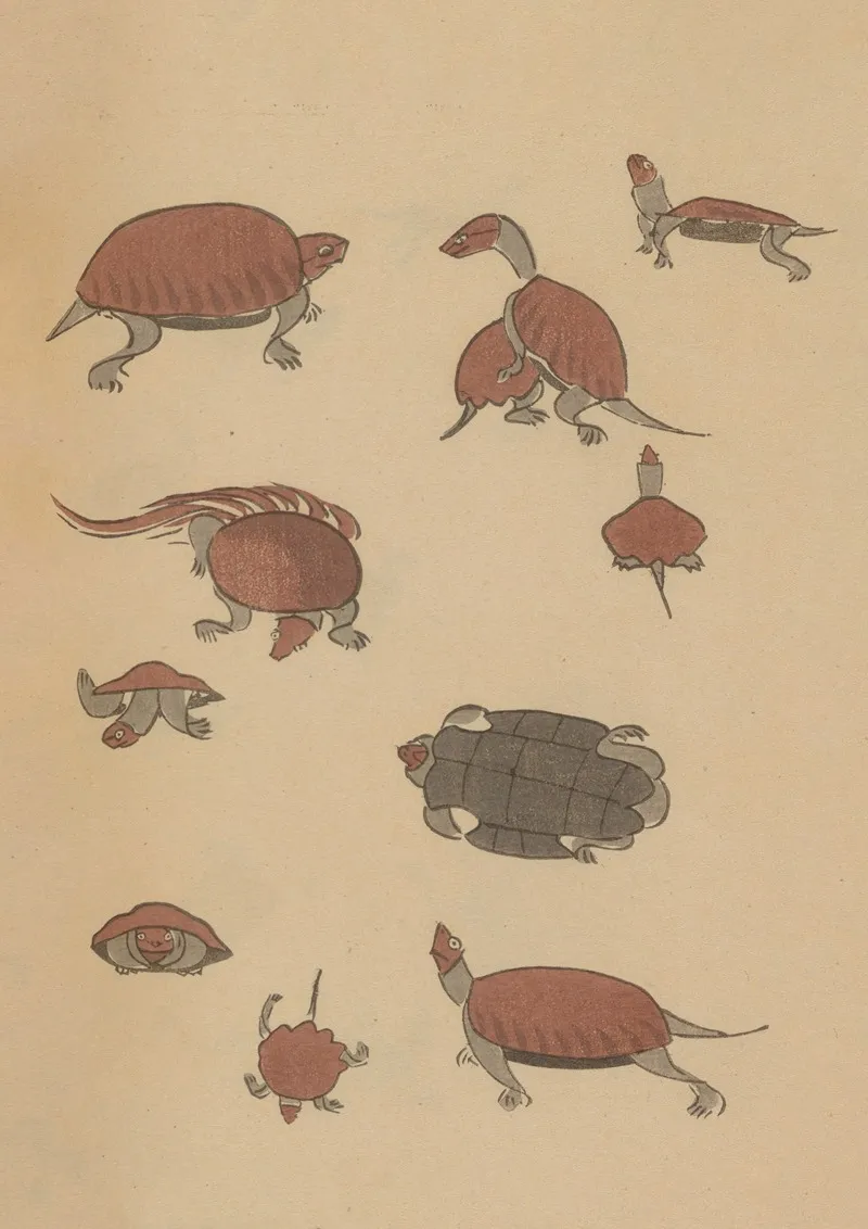 Choju Ryakugashiki Pl 39