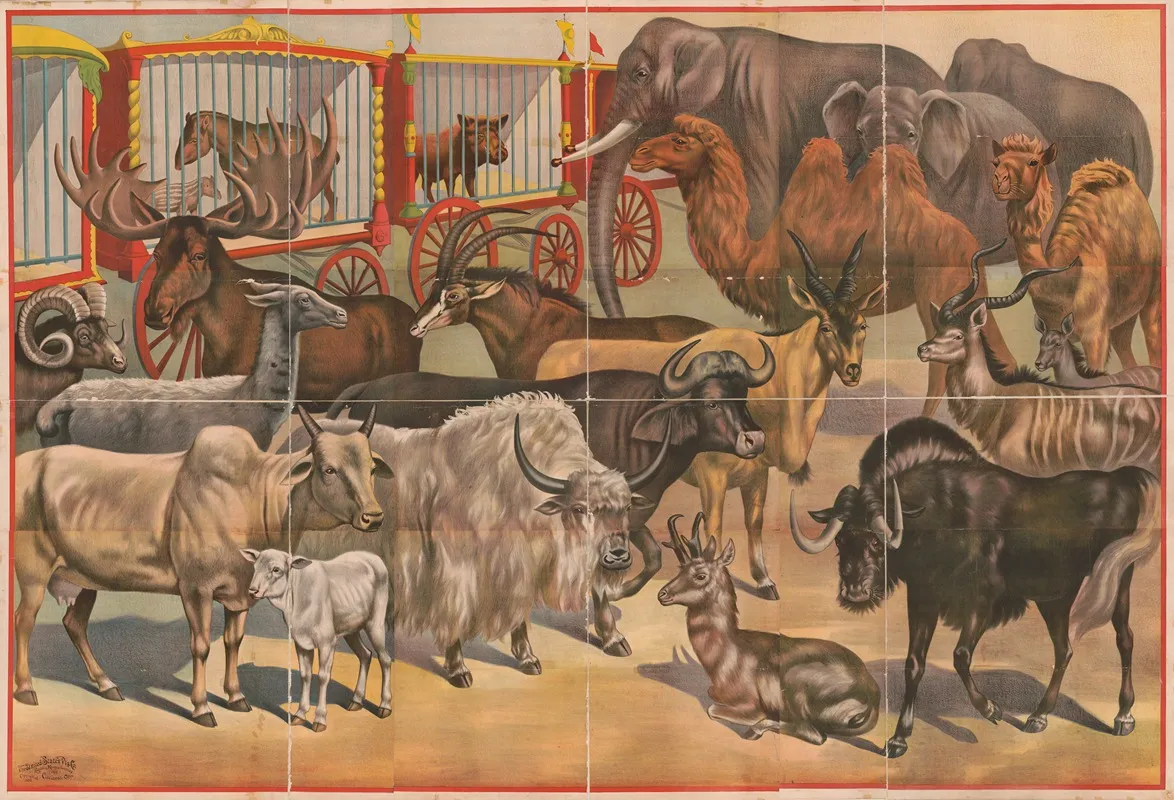 Circus Animals