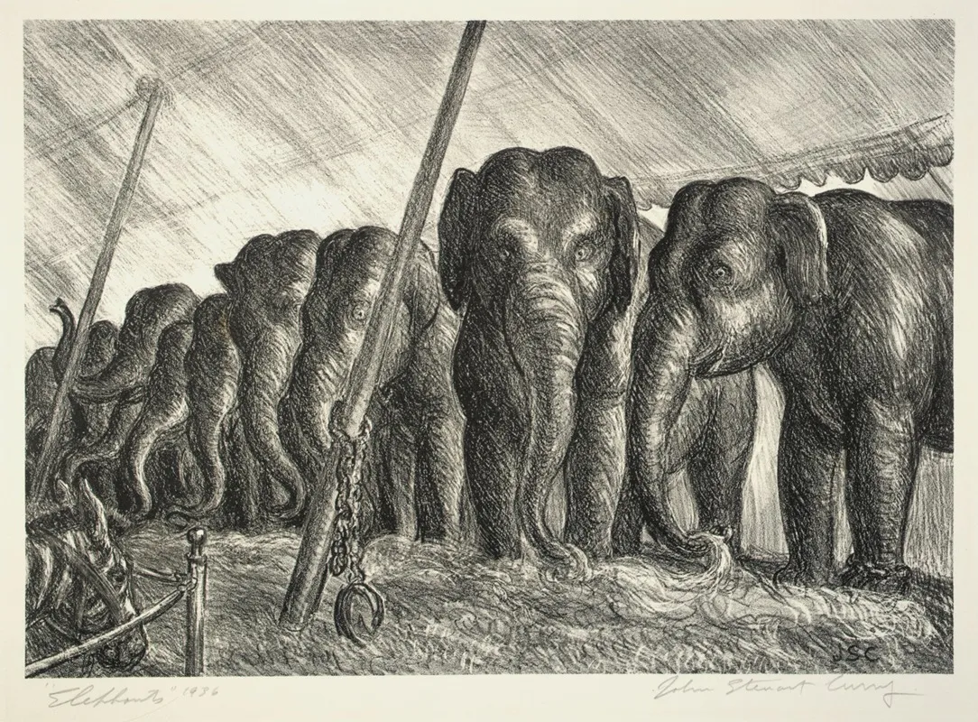 Circus Elephants