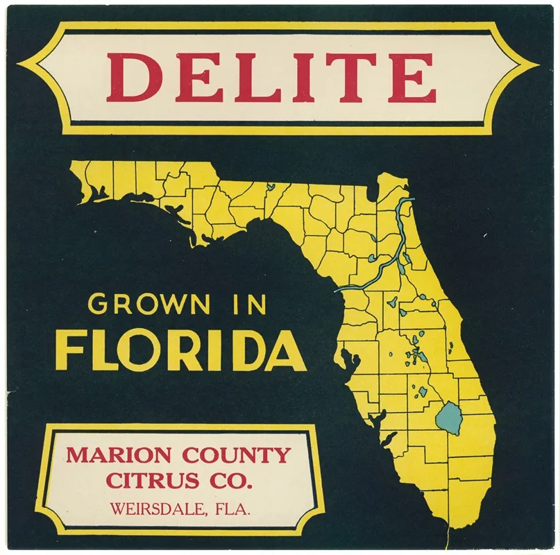 Citrus Label For Delite Black And Yellow