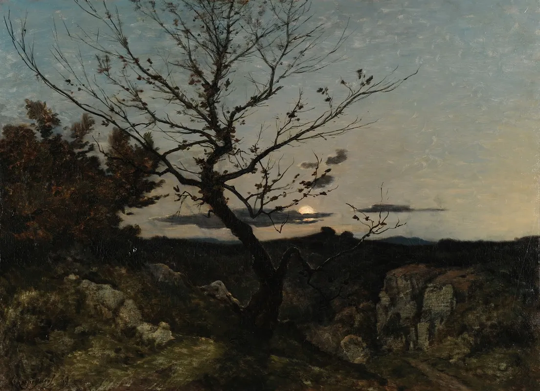 Clair De Lune Aux Environs De Marseille
