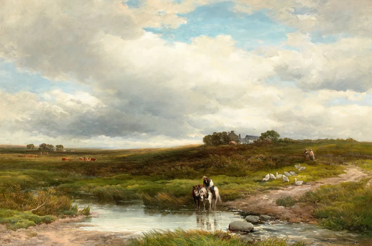 Clodagh Moor Cornwall