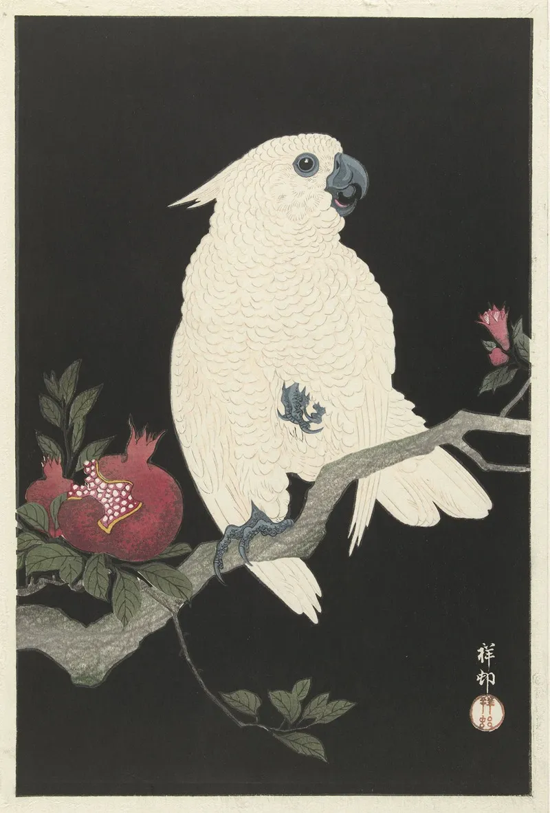 Cockatoo And Pomegranate by Ohara Koson - Canvas Print