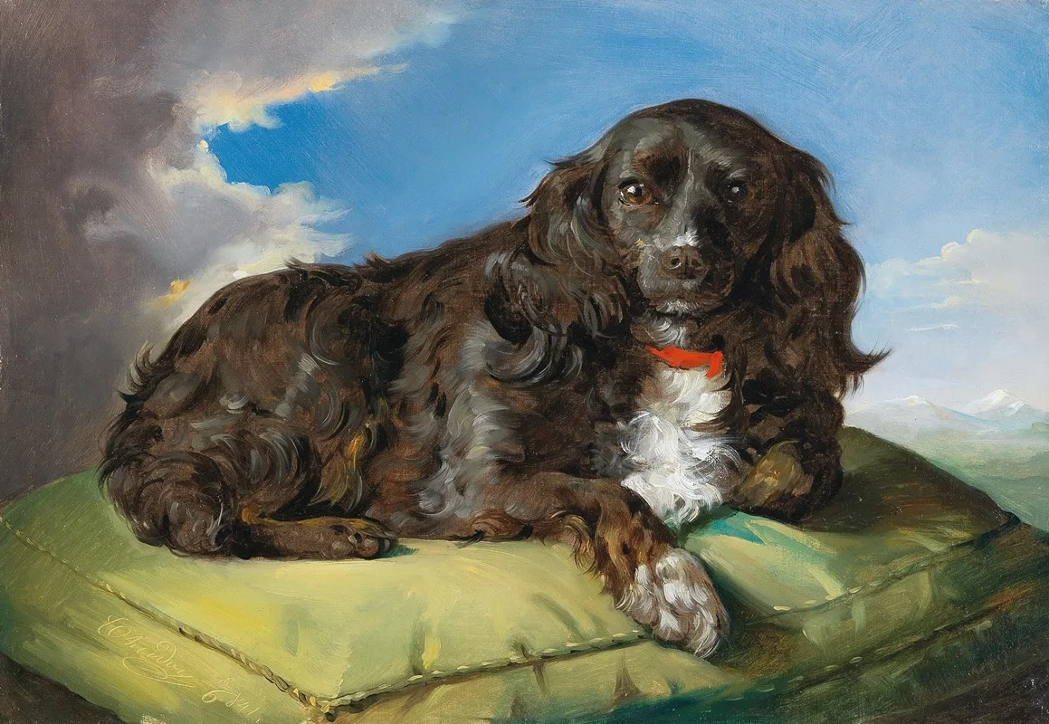 Cocker Spaniel Auf Grunem Polster Liegend