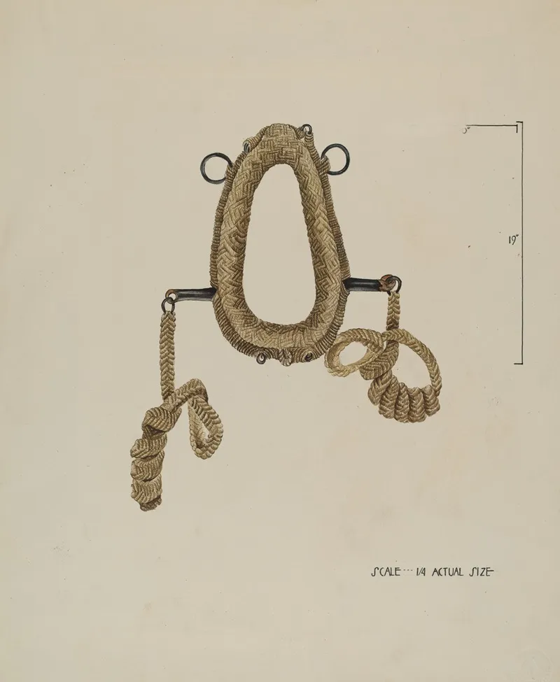 Collar For Burro by Roberta Elvis - Canvas Print