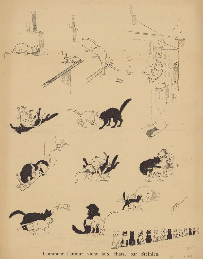 Comment Lamour Vient Aux Chats