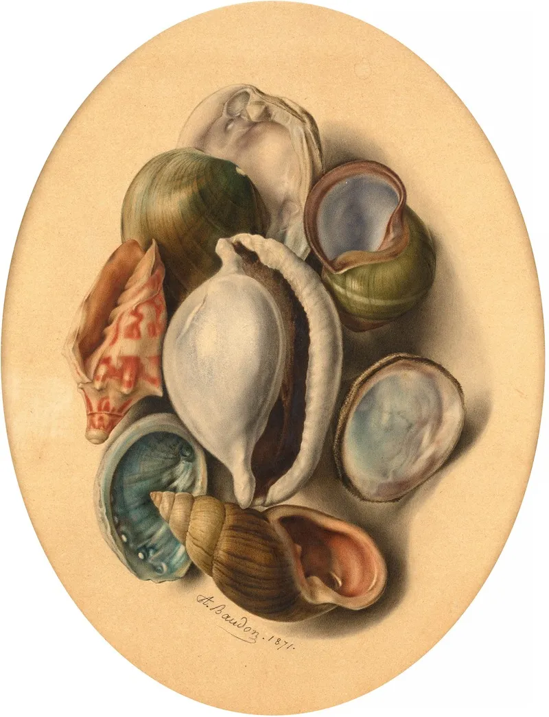 Composition Aux Coquillages