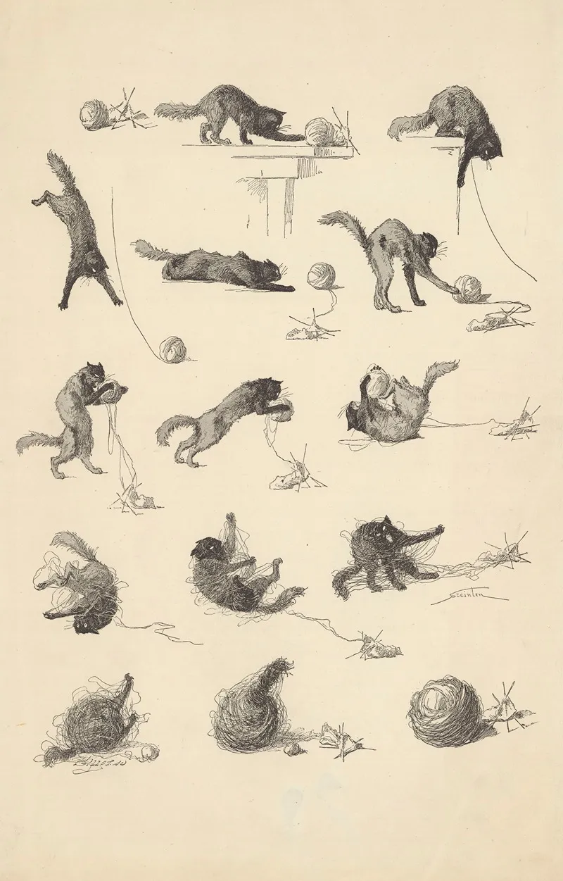 Contes A Sara Le Chat Et La Pelote