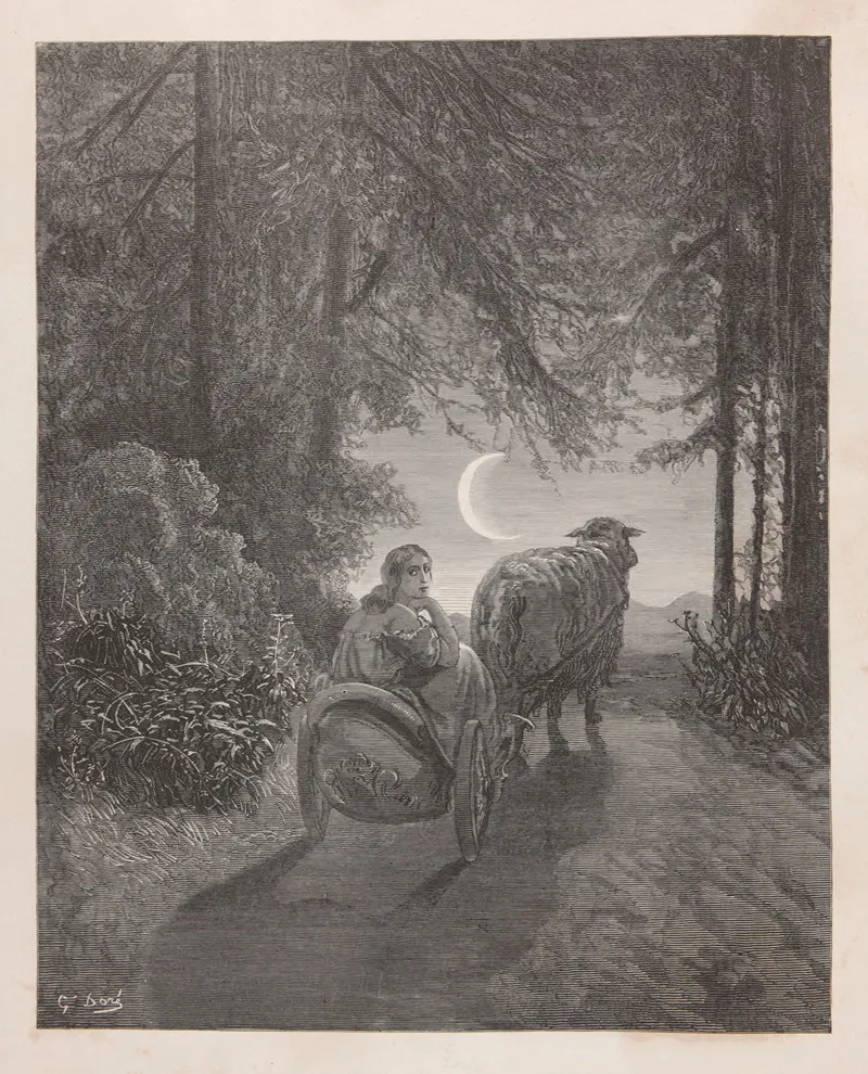 Contes Des Fees Pl 31