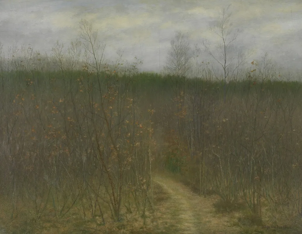 Coppice At Sint Martens Latem