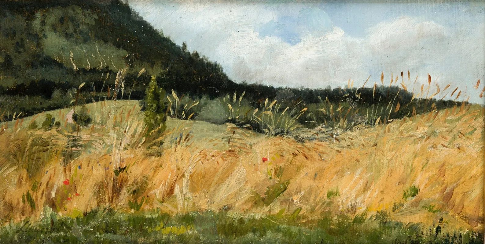 Corn Field by Leon Wyczółkowski - Canvas Print