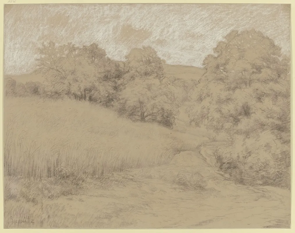 Cornfield At The Forest by Peter Burnitz - Canvas Print