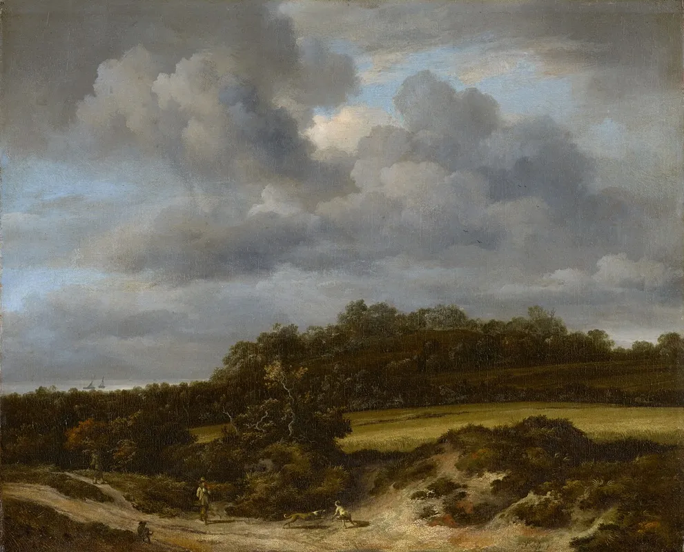 Cornfield by Jacob van Ruisdael - Canvas Print