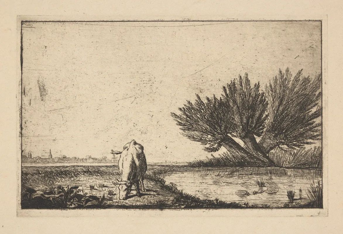 Cow Grazing By Pond by Auguste Delâtre - Canvas Print