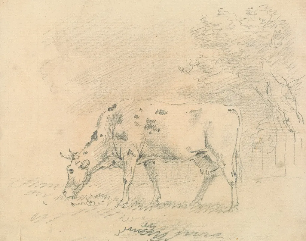 Cow Grazing