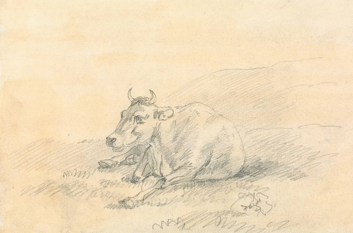 Cow Lying Down