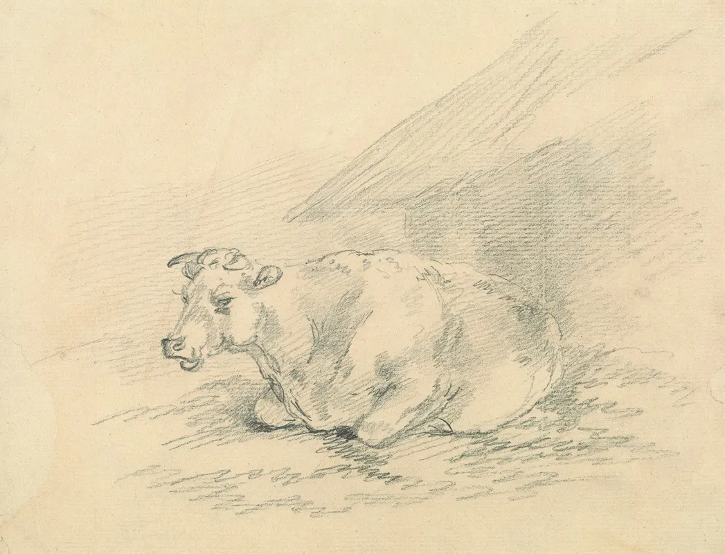 Cow Lying Next To A Barn
