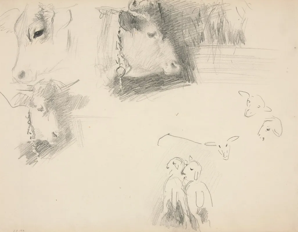 Cows And Sheep