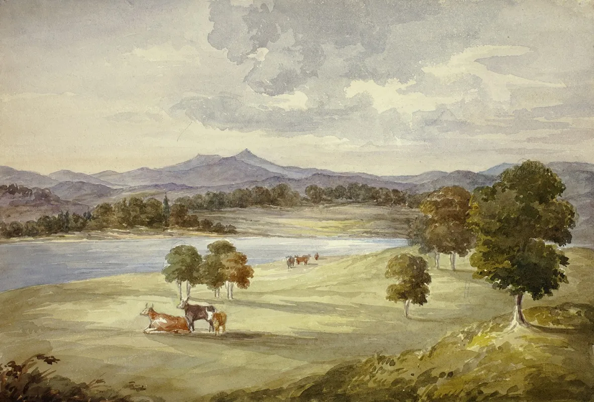Cows In Landscape by Elizabeth Murray - Canvas Print