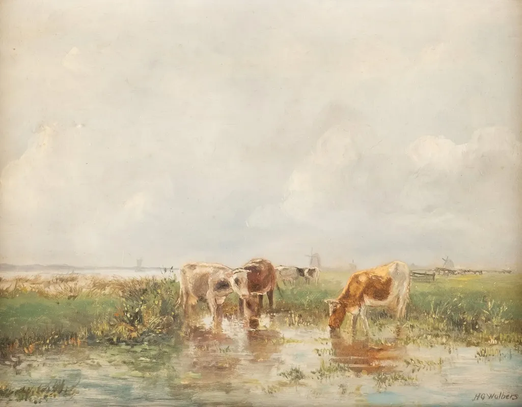 Cows In Shallow