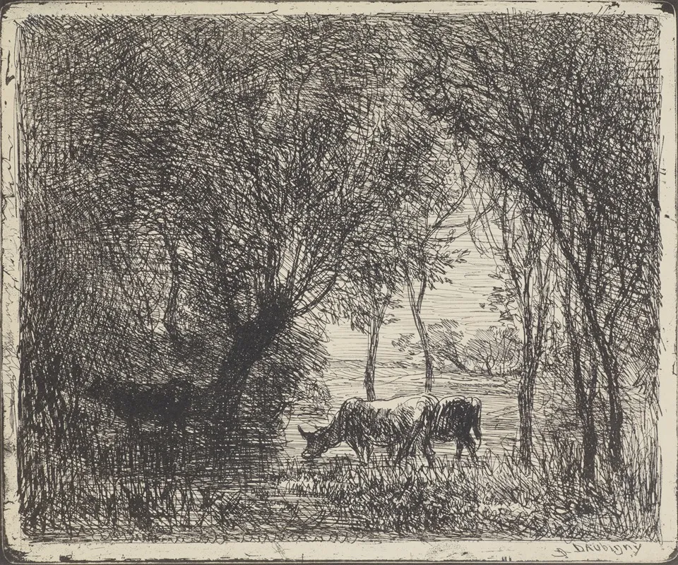 Cows In Woods by Charles François Daubigny - Canvas Print