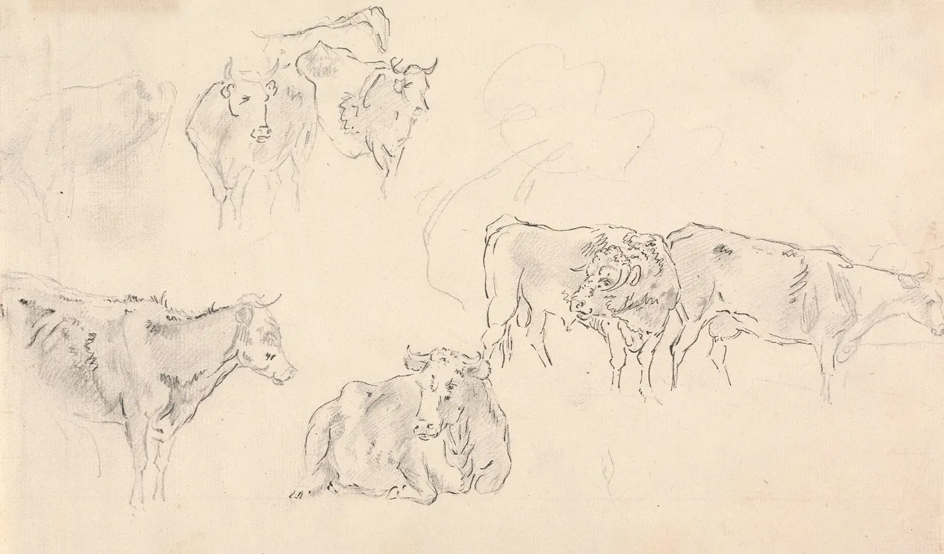 Cows With Bull In The Foreground