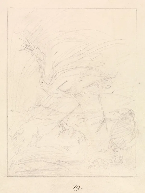 Crane And Frogs