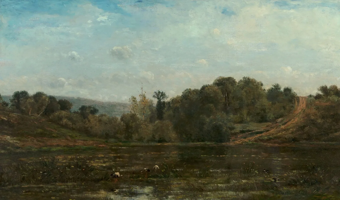 Cranes Watering At The Edge Of A Pond