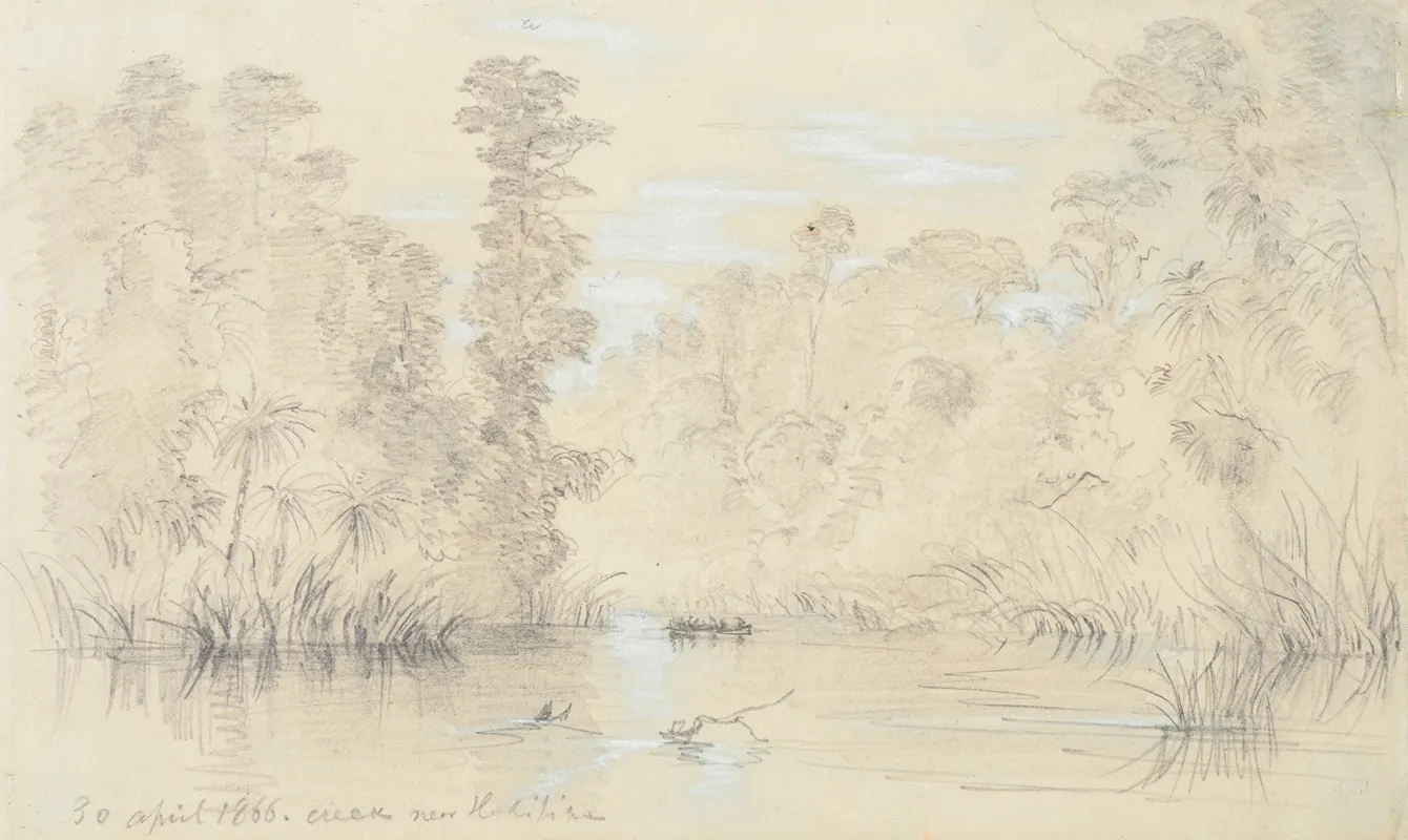 Creek Near Hokitika