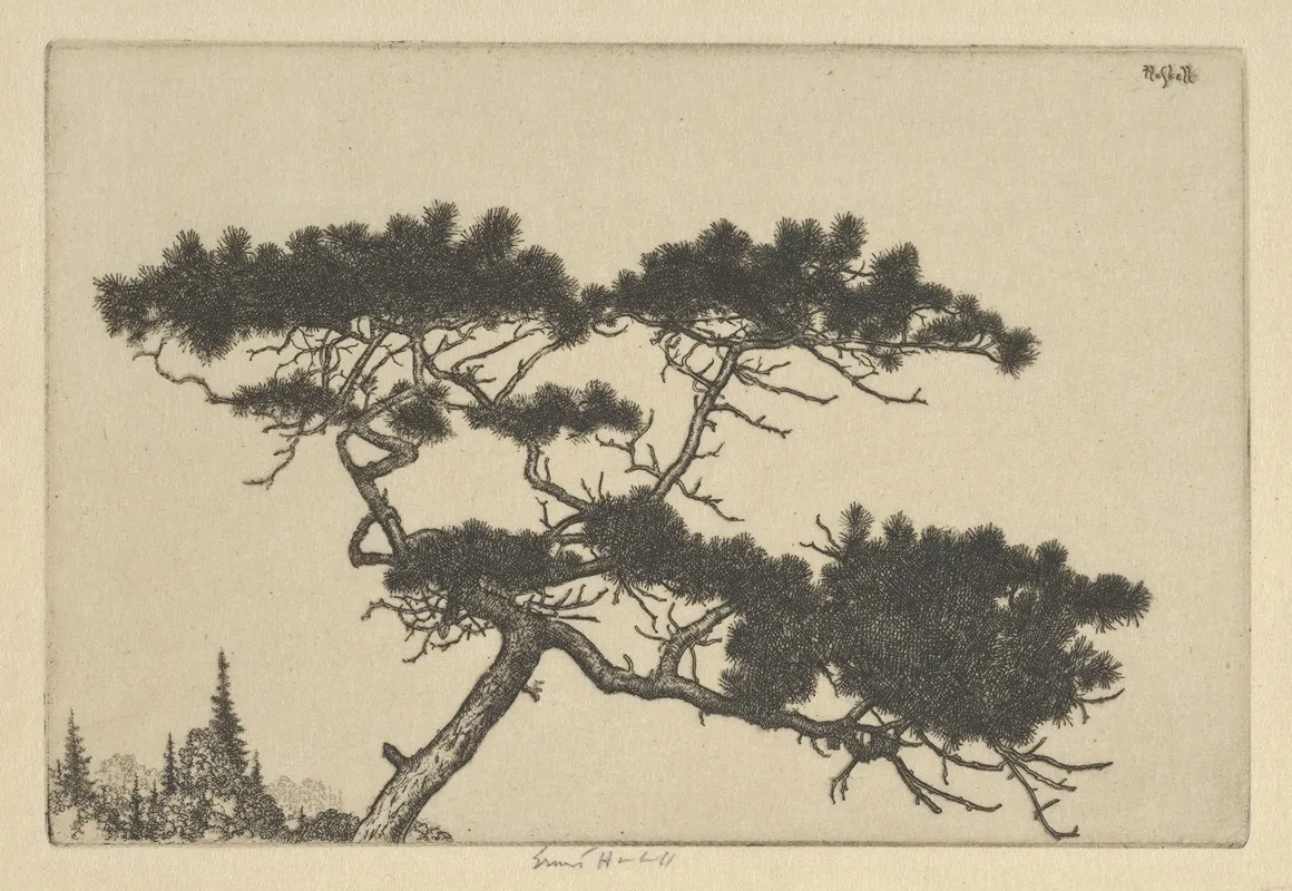 Crippled Pine
