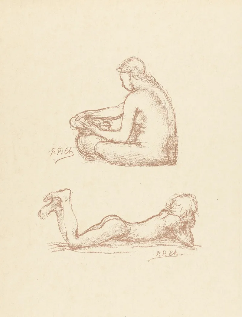 Croquis De Nus
