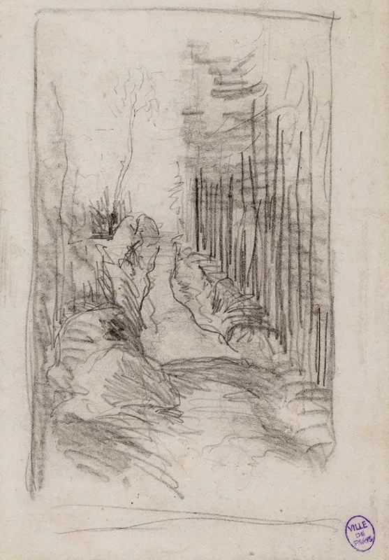 Croquis Dune Allee En Foret